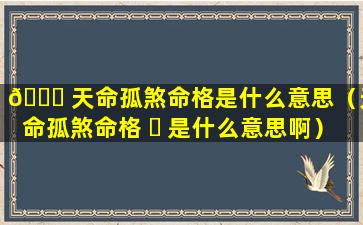 🐅 天命孤煞命格是什么意思（天命孤煞命格 ☘ 是什么意思啊）